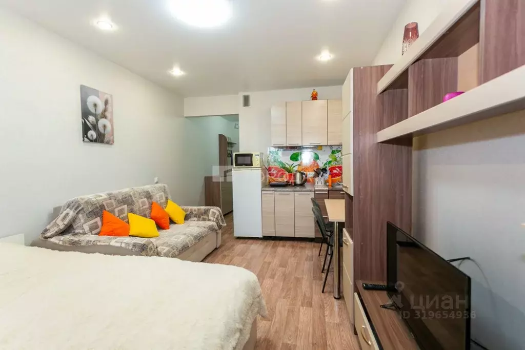Студия Новосибирская область, Новосибирск ул. Забалуева, 102 (24.0 м) - Фото 1