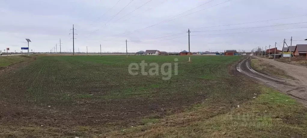 Участок в Краснодарский край, Ейский район, с. Кухаривка Ейская ул. ... - Фото 2