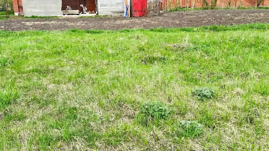 Участок в Новосибирская область, Новосибирск ул. Петухова (5.8 сот.) - Фото 1