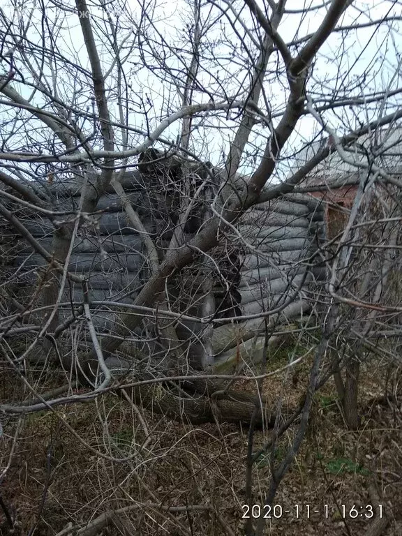 Участок в Брусяны, Советская улица, 83 (7.53 м) - Фото 2