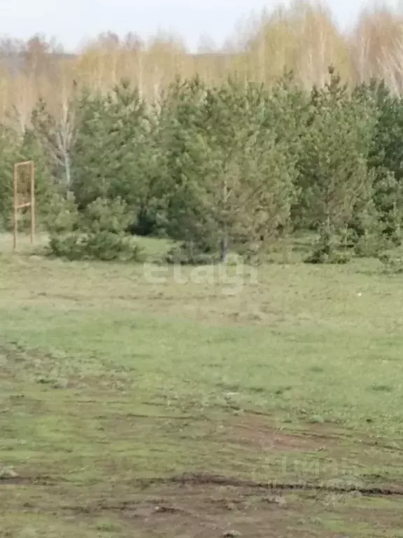 Участок в Свердловская область, Режевской городской округ, д. Сохарево ... - Фото 0