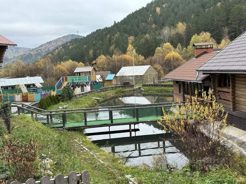 Дом в Алтай, Майминский район, с. Бирюля Окаинская ул. (150 м) - Фото 1