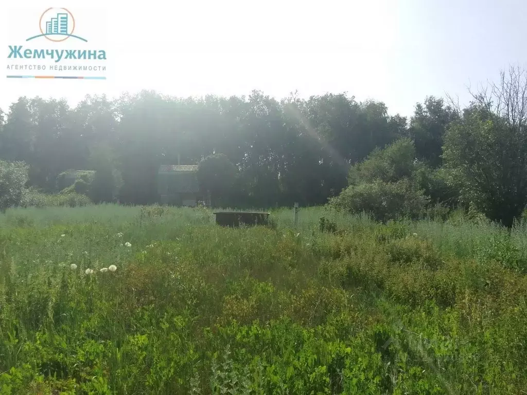 Участок в Ульяновская область, Димитровград ул. Комарова, 13 (5.0 ... - Фото 2