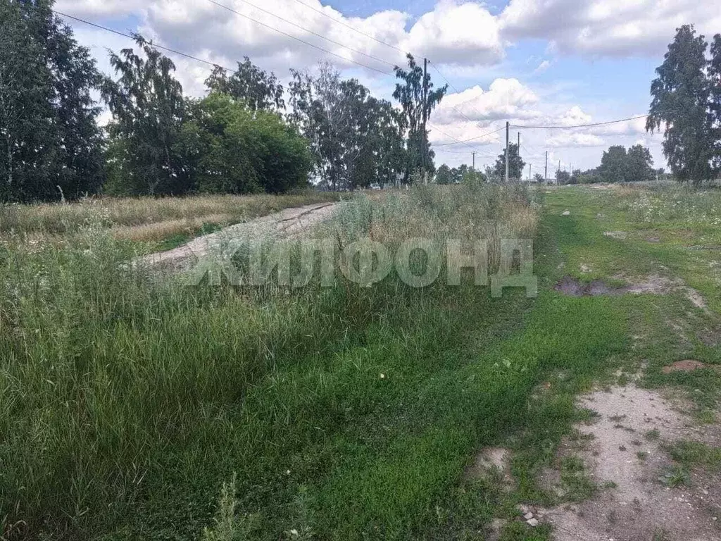 Участок в Новосибирская область, Новосибирский район, Криводановский ... - Фото 1