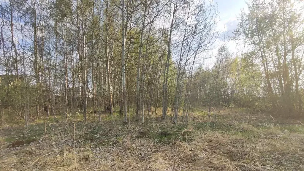 Участок в Московская область, Раменский муниципальный округ, д. ... - Фото 1