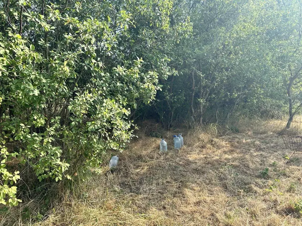 Участок в Севастополь с. Павловка,  (5.3 сот.) - Фото 2
