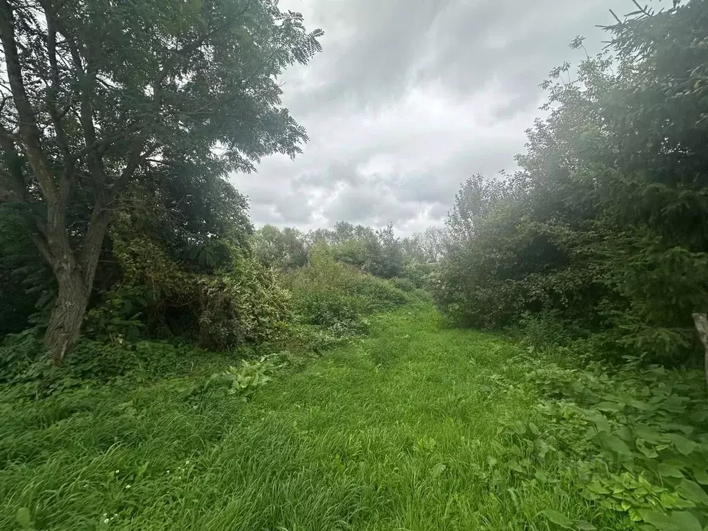 Участок в Московская область, Луховицы муниципальный округ, с. ... - Фото 1