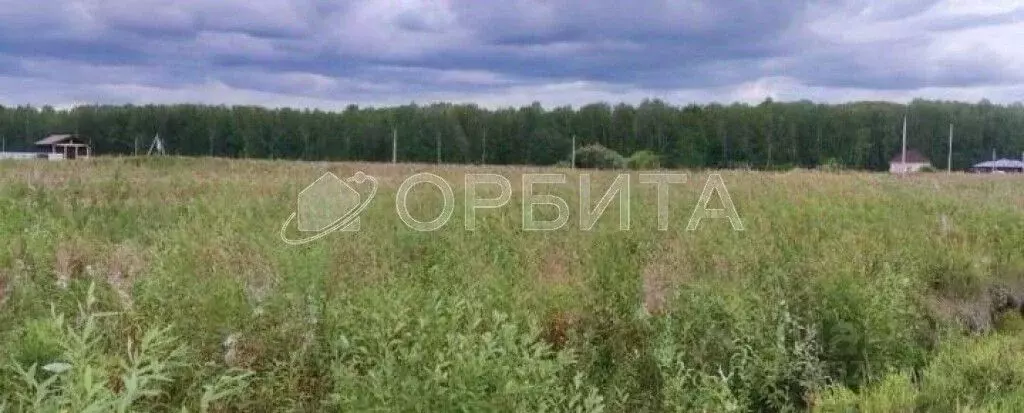 Участок в Тюменская область, Тюменский муниципальный округ, с. Кулига ... - Фото 2