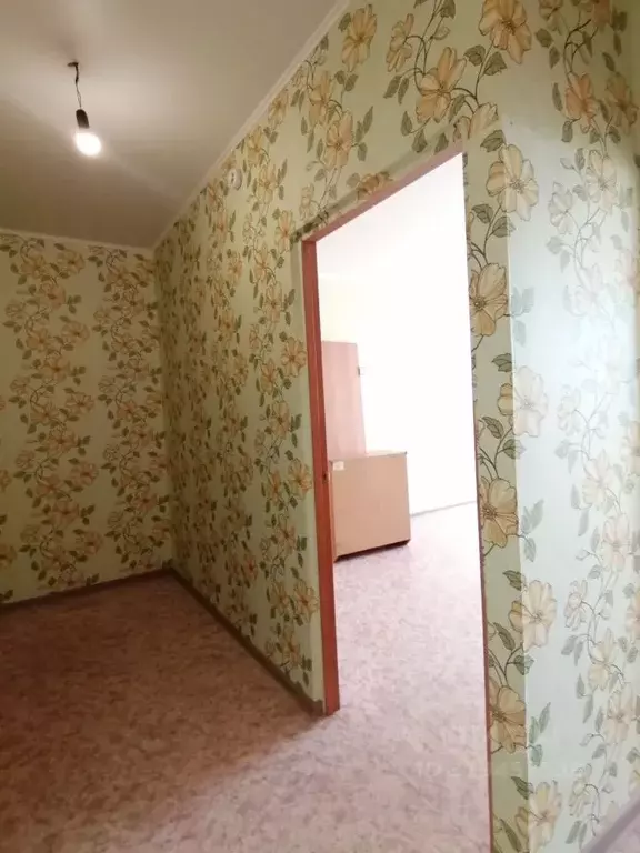 1-к кв. Алтайский край, Бийск Социалистическая ул., 22/1 (36.0 м) - Фото 0