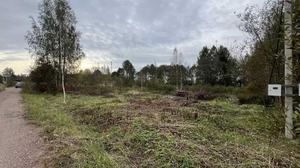 Участок в Ленинградская область, Выборгский район, Рощинское городское ... - Фото 2