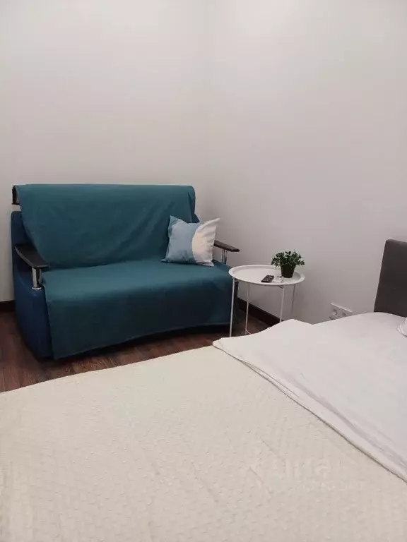 1-к кв. Московская область, Пушкино ул. Антона Ветчинова, 3к1 (30.0 м) - Фото 0