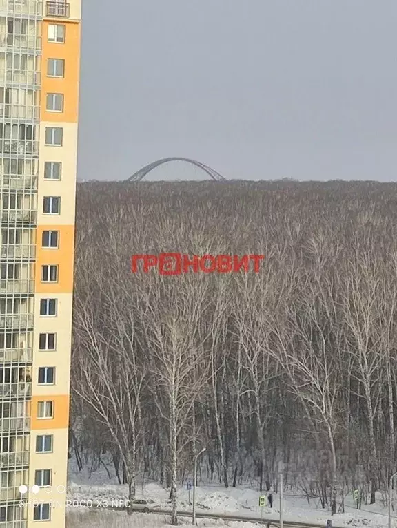 Студия Новосибирская область, Новосибирск ул. Ватутина, 93/2 (24.0 м) - Фото 1