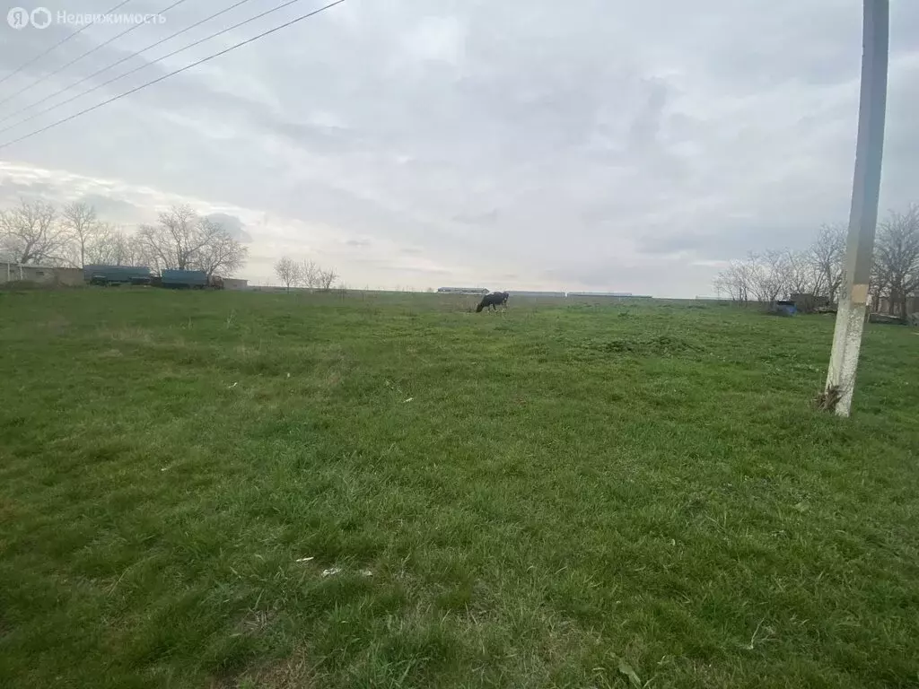 Участок в Новокубанский район, Верхнекубанское сельское поселение, ... - Фото 1