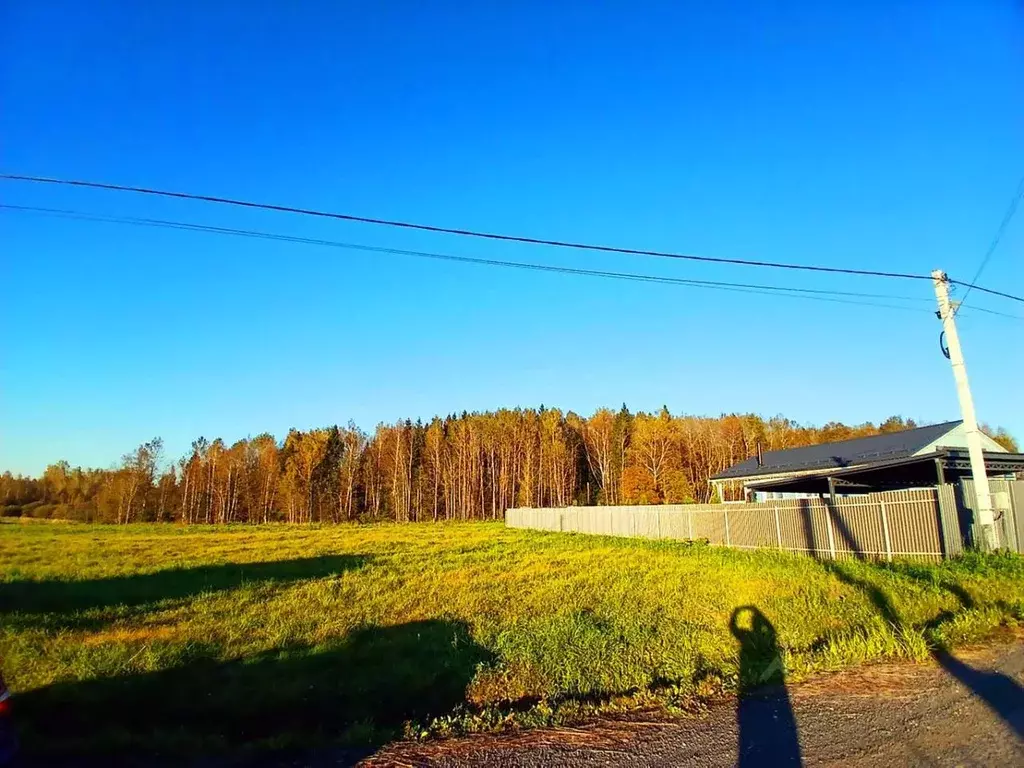 Участок в Московская область, Истра муниципальный округ, д. Загорье, ... - Фото 2