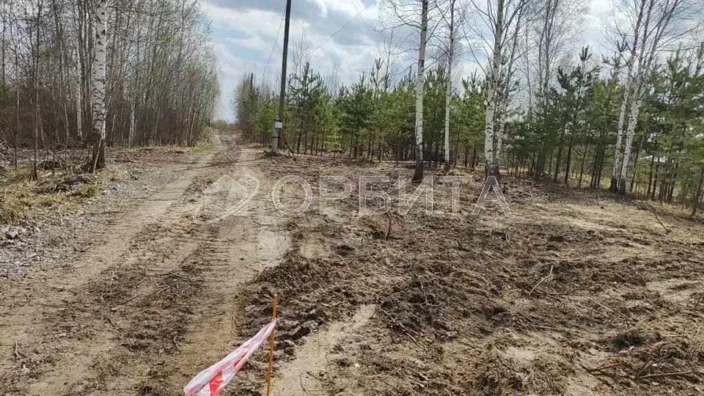 Участок в Тюменская область, Нижнетавдинский район, Здоровье-3 СТ ул. ... - Фото 0