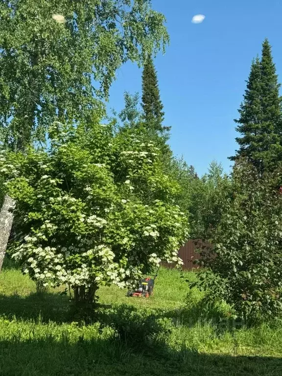 Участок в Томская область, Томск пос. Родионово, ул. 1000-летия Руси ... - Фото 1