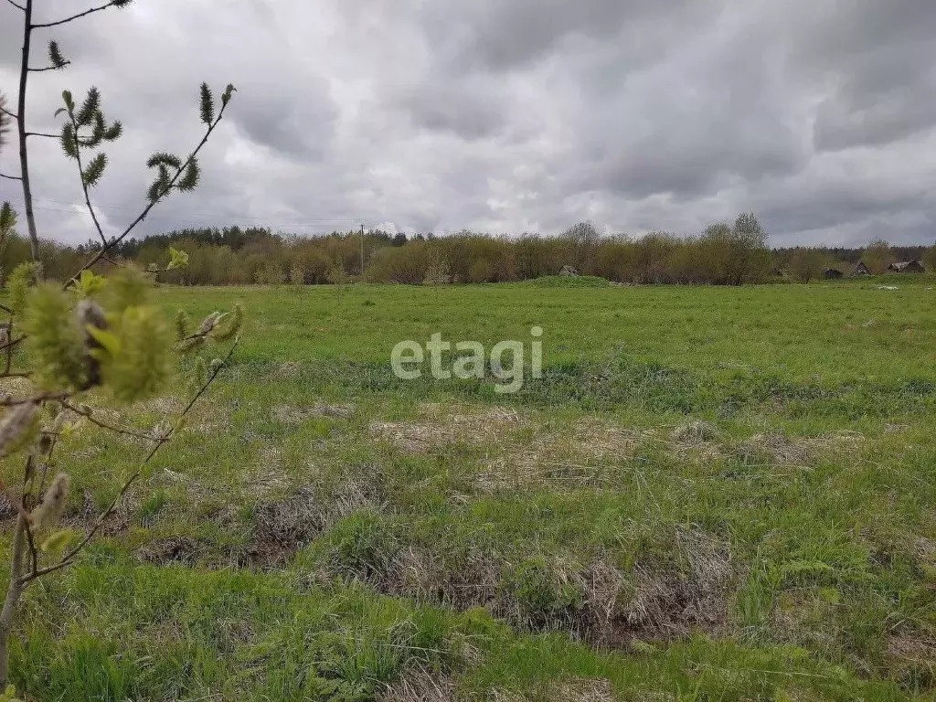 Участок в Вологодская область, Харовский муниципальный округ, д. ... - Фото 2