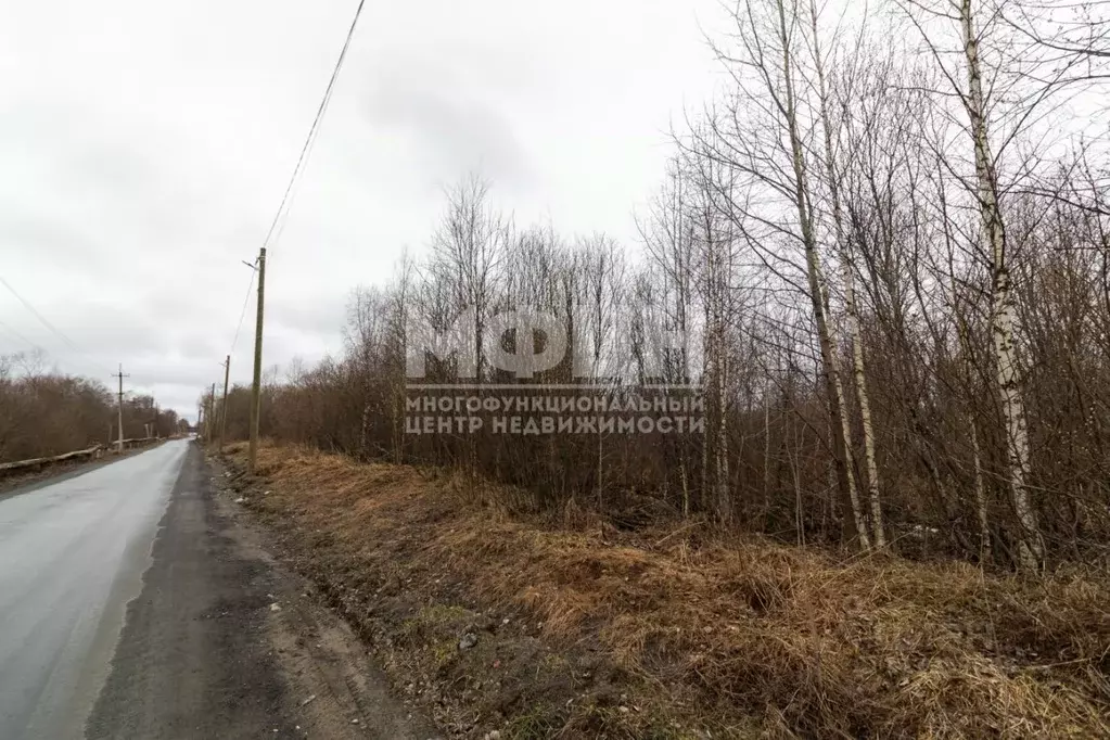 Участок в Карелия, Кондопожский район, Янишпольское с/пос, с. Янишполе ... - Фото 1