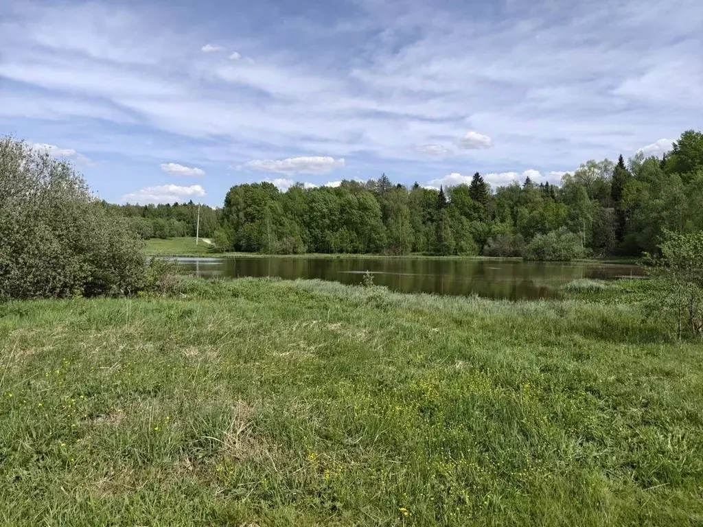 Участок в Московская область, Сергиево-Посадский городской округ, д. ... - Фото 1