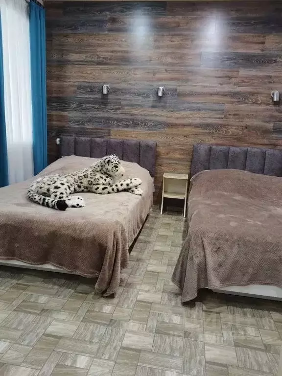 Комната Краснодарский край, Ейск ул. Калинина, 20 - Фото 1