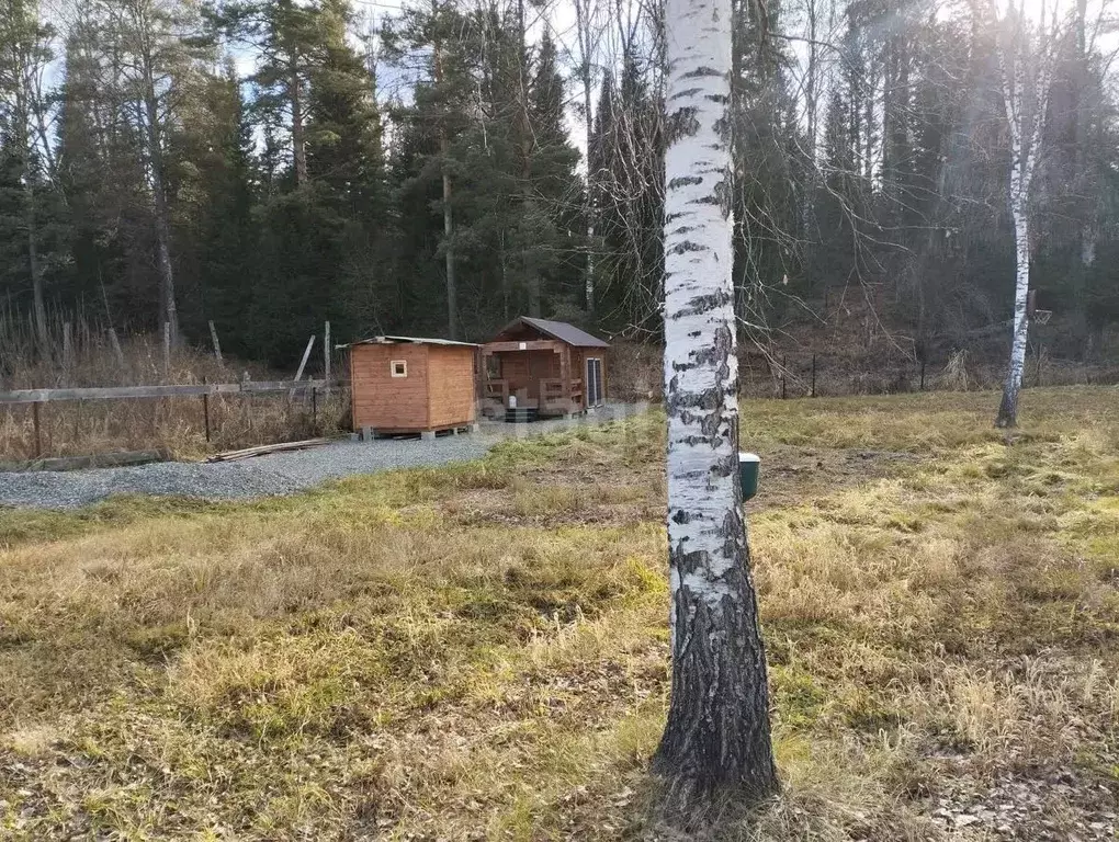 Участок в Алтай, Майминский район, с. Кызыл-Озек ул. Г.Г. Ромашкиной ... - Фото 0