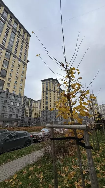 2-к кв. Санкт-Петербург ул. Дыбенко, 3 (62.4 м) - Фото 0