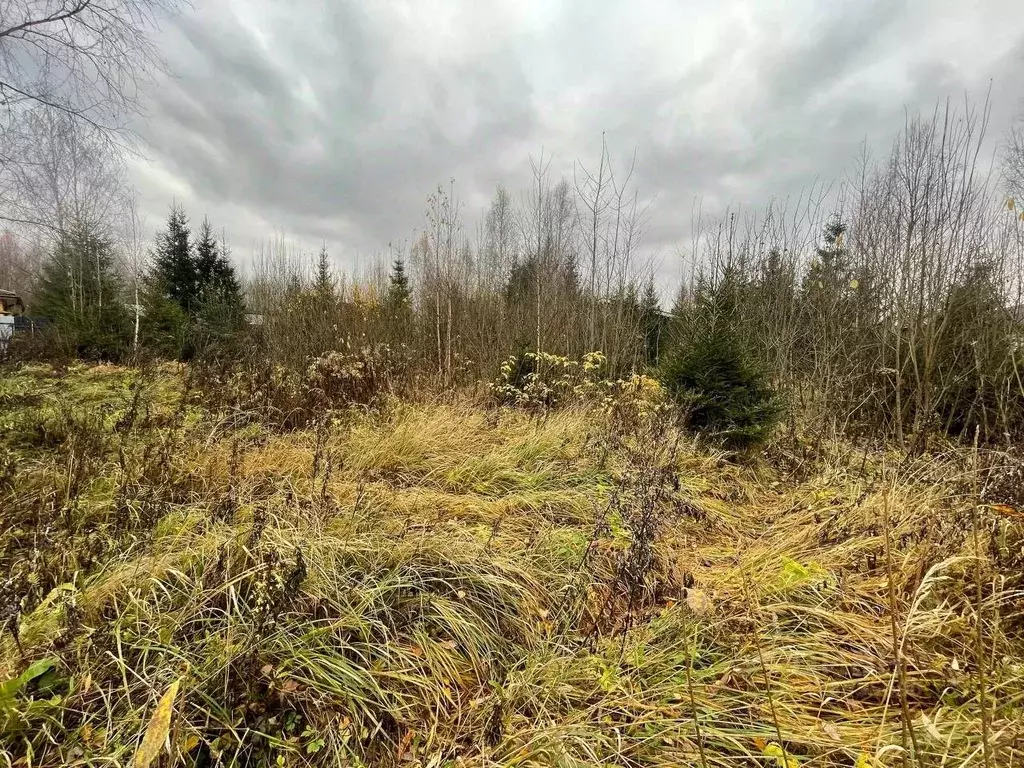 Участок в Москва № 182 кв-л, 89 (9.6 сот.) - Фото 1