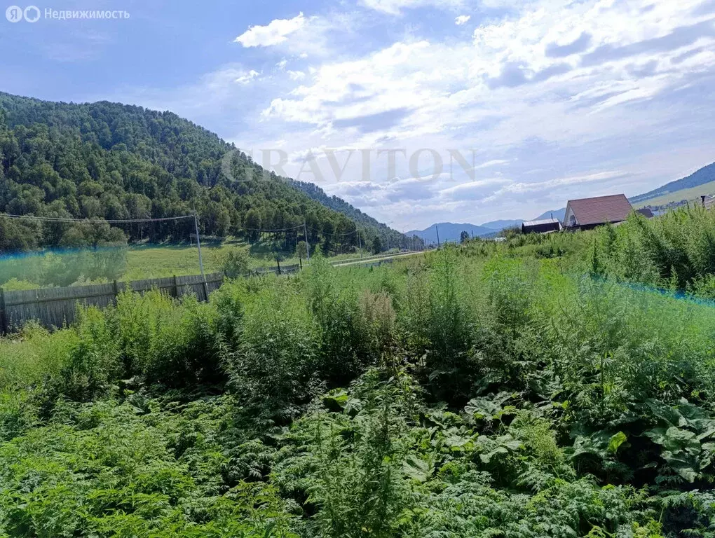 Участок в село Черга, улица Чапаева (35 м) - Фото 1