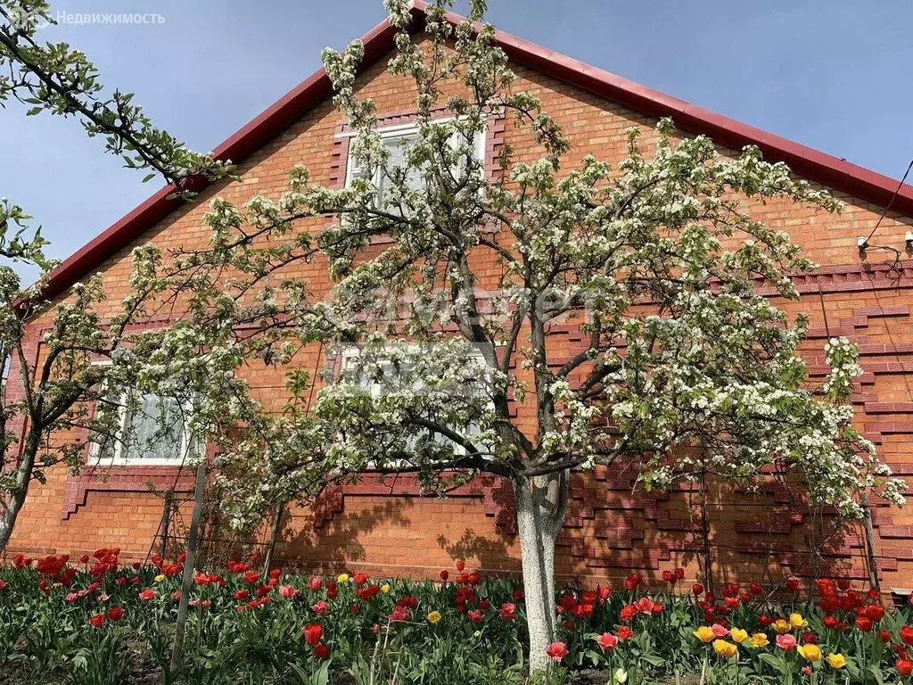 Дом в Александровка, Молодёжная улица, 3 (200 м) - Фото 2