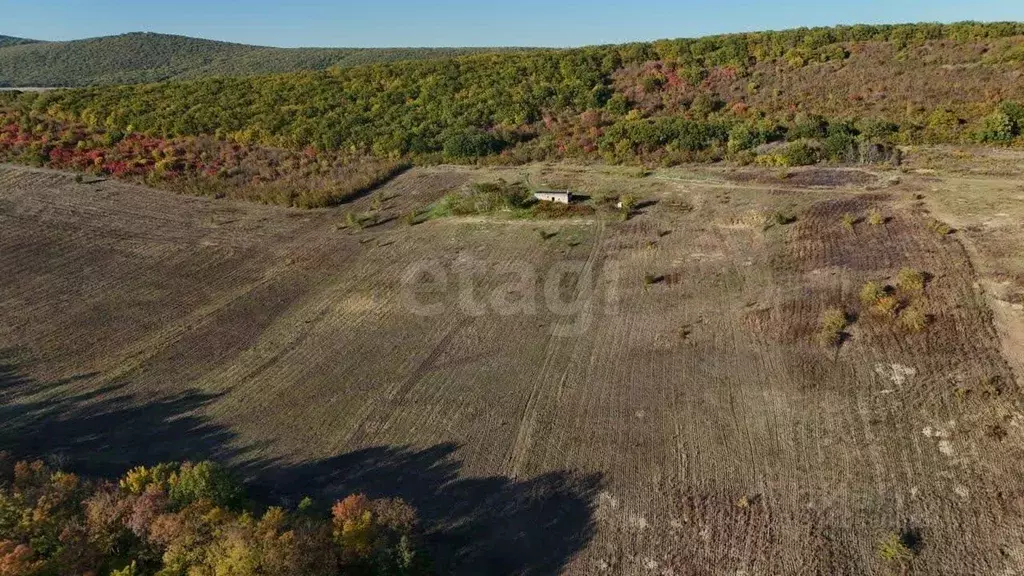 Участок в Краснодарский край, Анапа муниципальный округ, Куматырь хут. ... - Фото 2