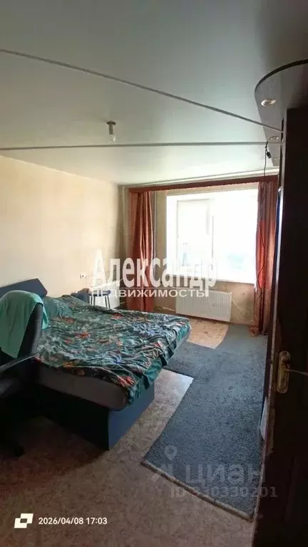 Комната Санкт-Петербург ул. Маршала Говорова, 8 (17.7 м) - Фото 1