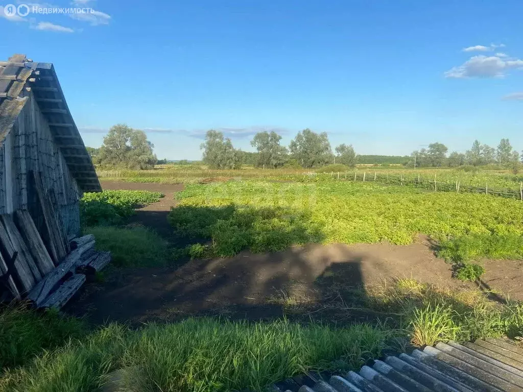 Дом в деревня Николаевка, Береговая улица (48.7 м) - Фото 1