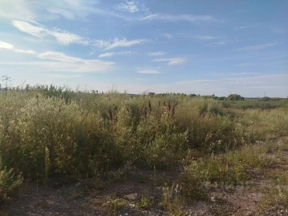 Участок в Челябинская область, Сосновский муниципальный округ, пос. ... - Фото 2