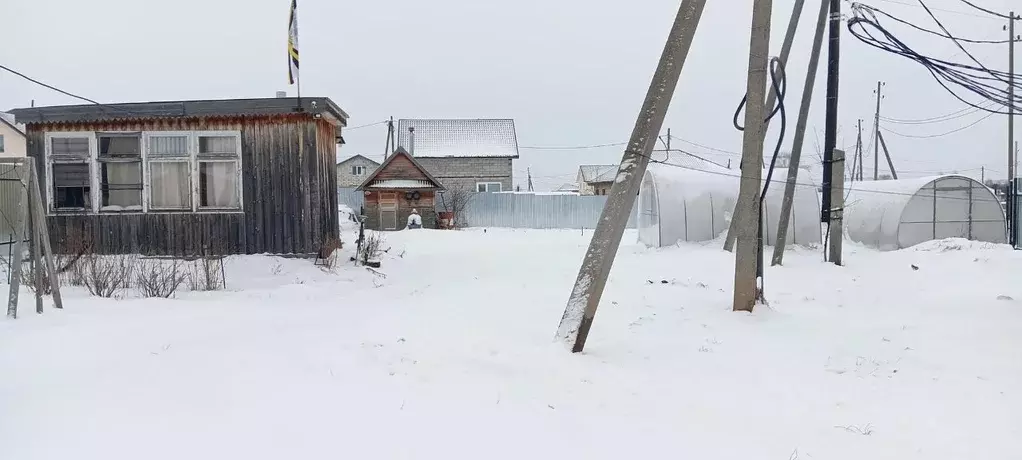 Участок в Пермский край, Пермский муниципальный округ, д. Мокино ул. ... - Фото 1