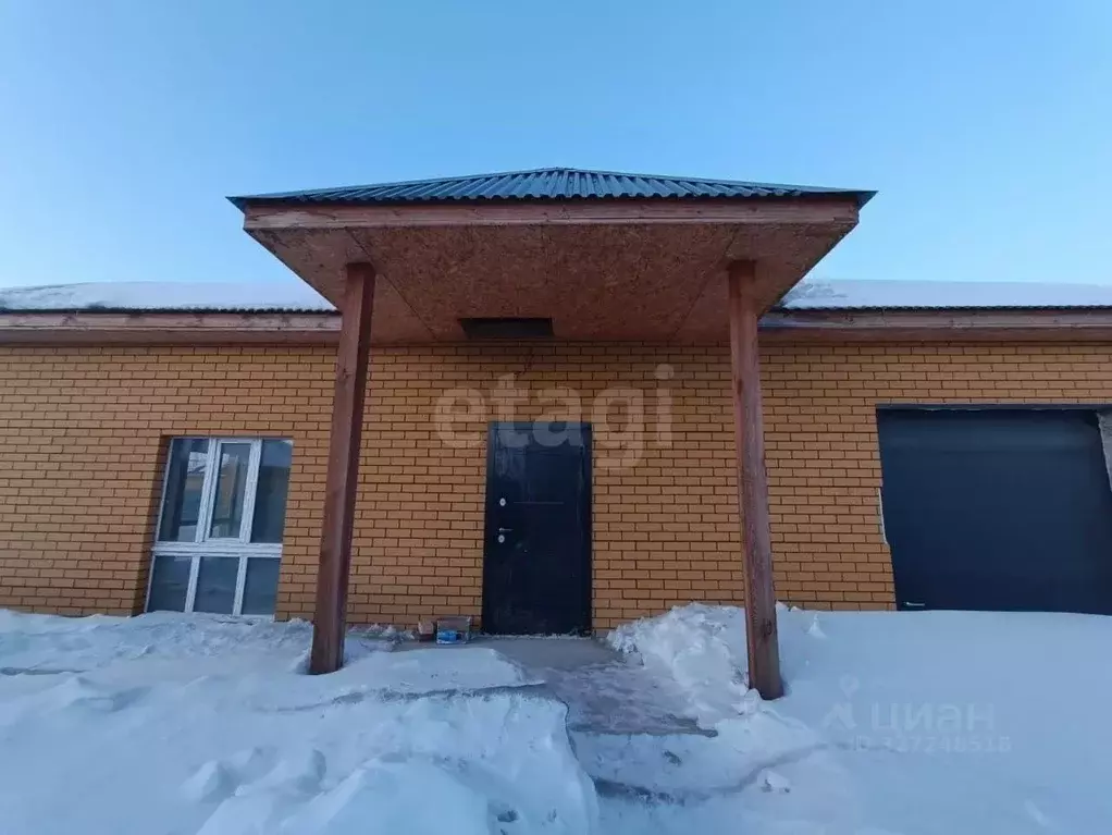 Дом в Амурская область, Благовещенский район, с. Чигири ул. Сибирская, ... - Фото 2