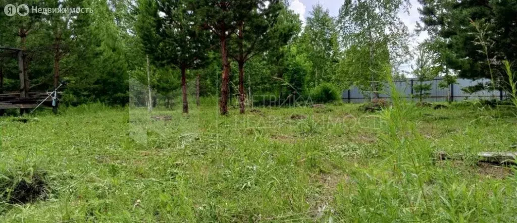 Участок в Тюменская область, Омутинский муниципальный округ, ... - Фото 2