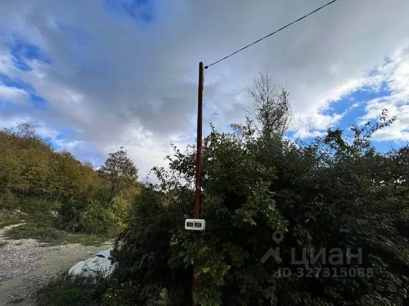 Участок в Краснодарский край, Сочи Калиновка СТ,  (5.3 сот.) - Фото 1