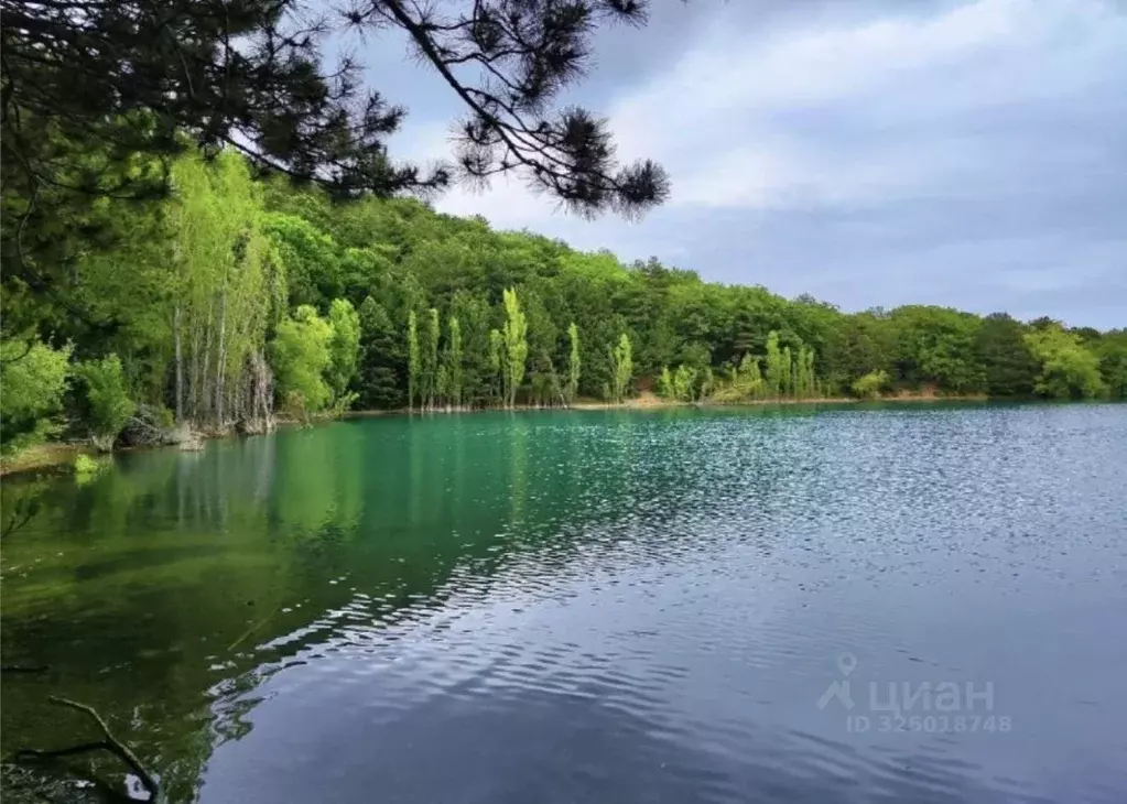 Участок в Крым, Симферополь ул. Бориса Хохлова, 31 (5.6 сот.) - Фото 1