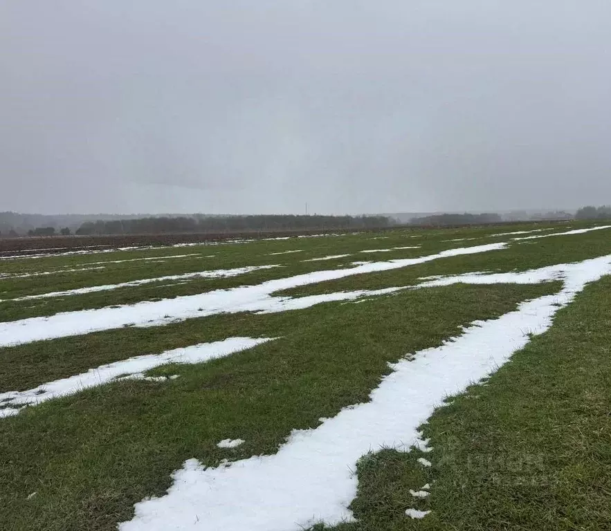 Участок в Московская область, Богородский городской округ, д. Соколово ... - Фото 1