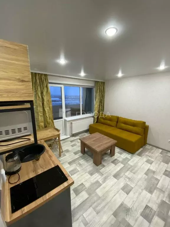 Студия Новосибирская область, Новосибирск Беловежская ул., 50 (24.0 м) - Фото 1