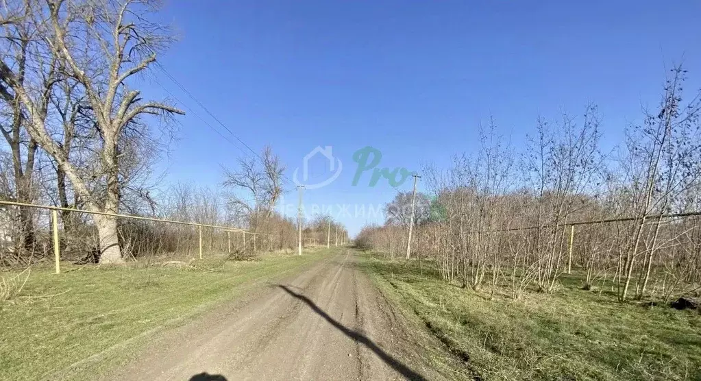 Участок в Краснодарский край, Ейское с/пос, пос. Пролетарский ул. ... - Фото 1