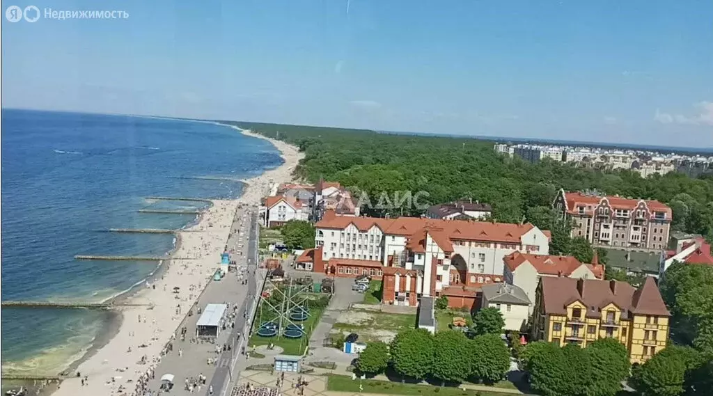 Участок в Зеленоградск, Золотистая улица, 22 (8 м) - Фото 1