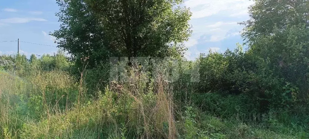 Дом в Вологодская область, Сокольский муниципальный округ, д. Большой ... - Фото 1