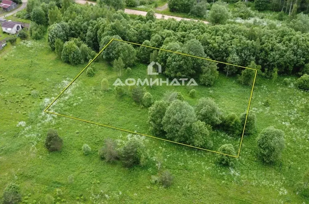 Участок в Ленинградская область, Лужский район, Мшинское с/пос, д. ... - Фото 1