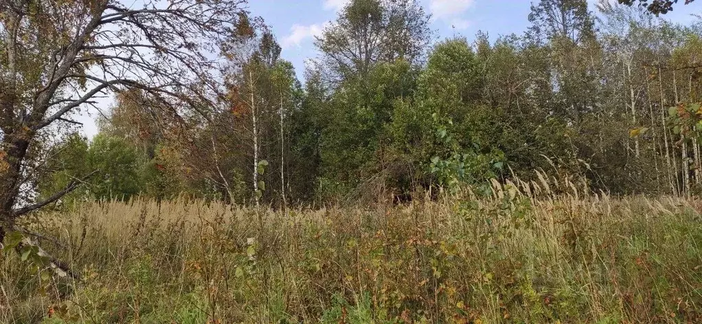 Участок в Московская область, Талдомский городской округ, д. Князчино  ... - Фото 1