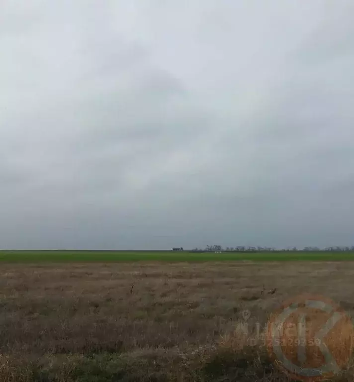 Участок в Крым, Сакский район, Штормовское с/пос, с. Приветное  (6.0 ... - Фото 1