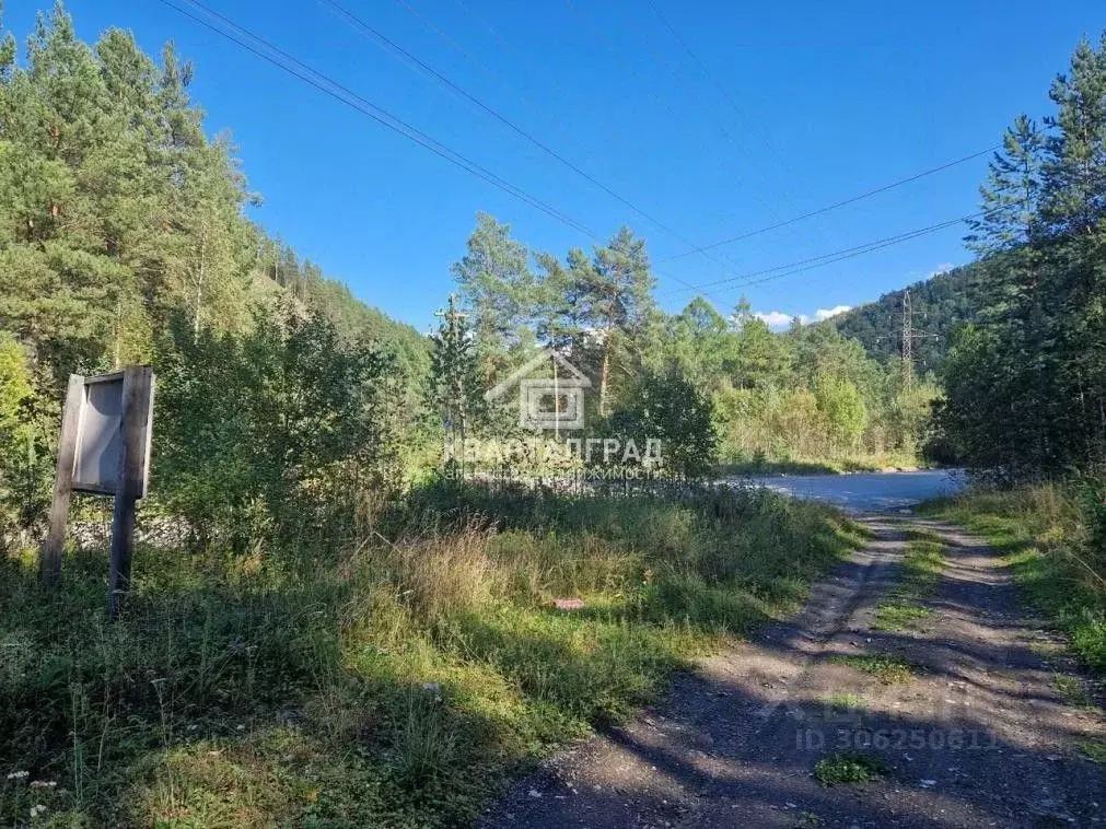 Участок в Хакасия, Саяногорск Саяногорск городской округ,  (50.0 сот.) - Фото 0