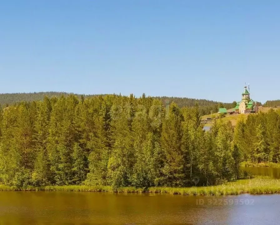 Участок в Свердловская область, Нижний Тагил муниципальный округ, пос. ... - Фото 2