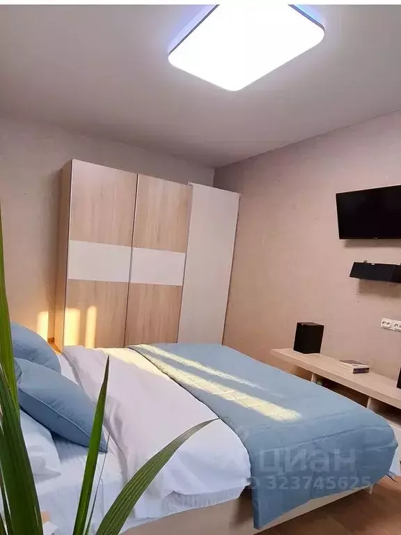 1-к кв. Воронежская область, Воронеж Красноармейская ул., 64 (33.0 м) - Фото 2