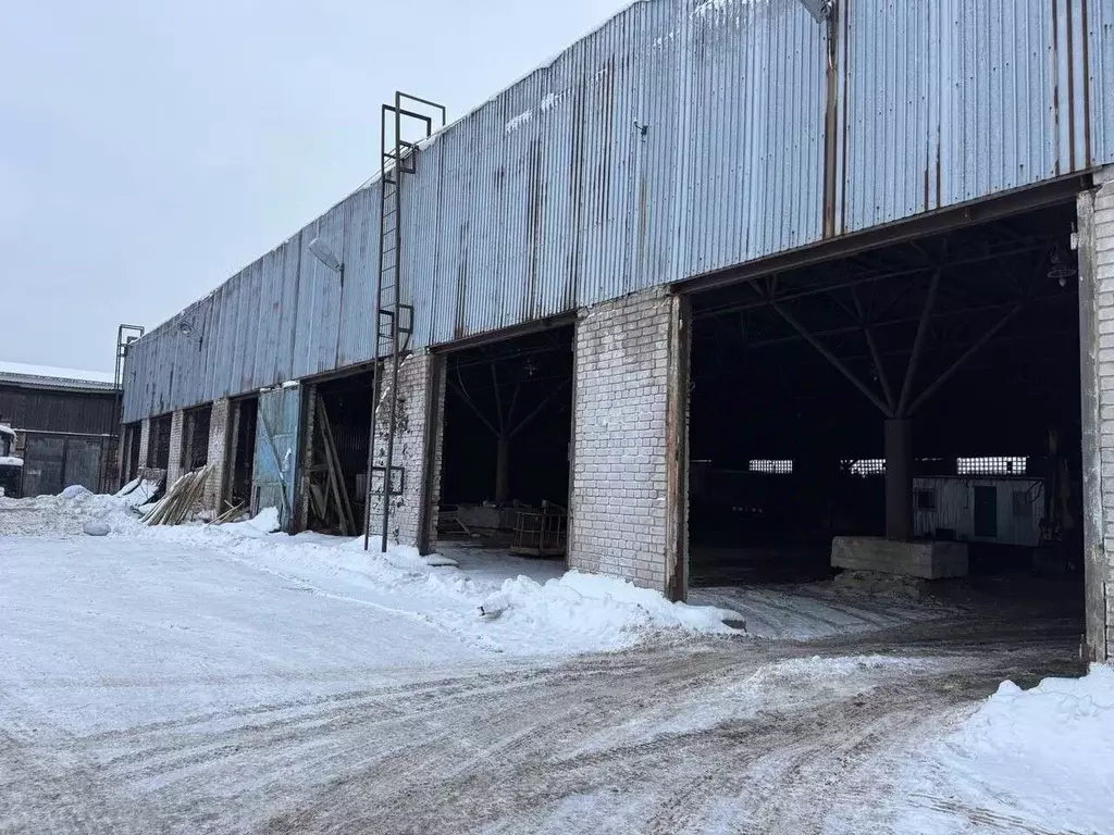 Склад в Архангельская область, Архангельск ул. Павла Усова, 12с4 (180 ... - Фото 1